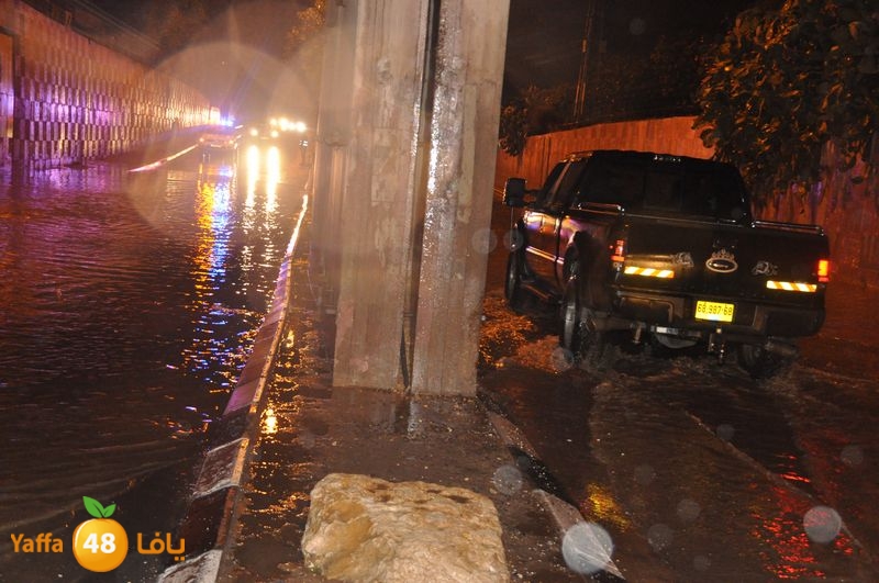 rain lud 1212 (9).JPG